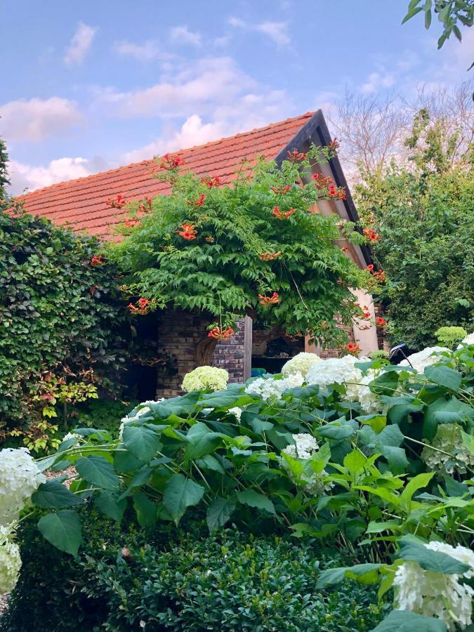 B&B Helena'S Hoeve Buggenum Zewnętrze zdjęcie