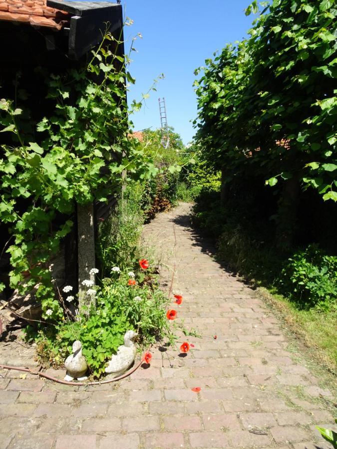 B&B Helena'S Hoeve Buggenum Zewnętrze zdjęcie